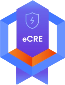 eLearn Certified Reverse Engineering (eCRE)